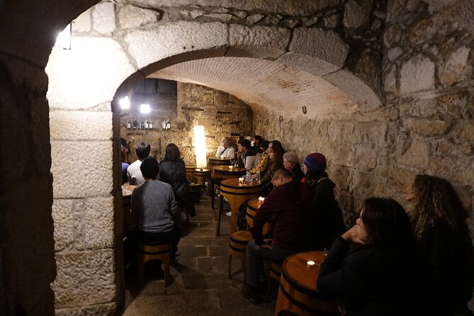 Concert at the House of Fado Ribeira - Performers and Musicians