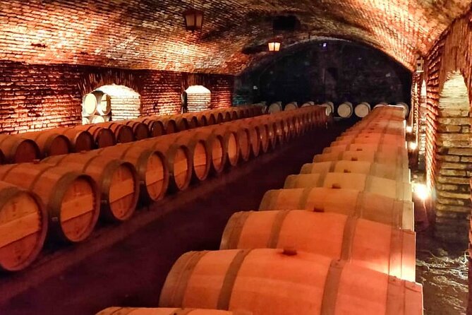 Concha Y Toro Vineyard Tour From Santiago - Itinerary Details