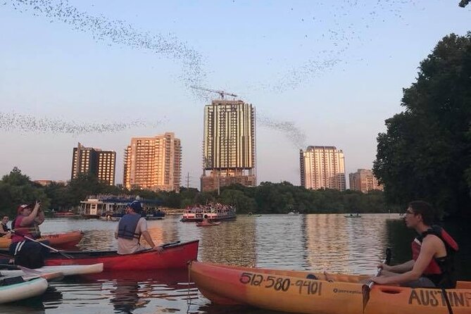 Congress Avenue Bat Bridge Kayak Tour in Austin - Tour Pricing and Details