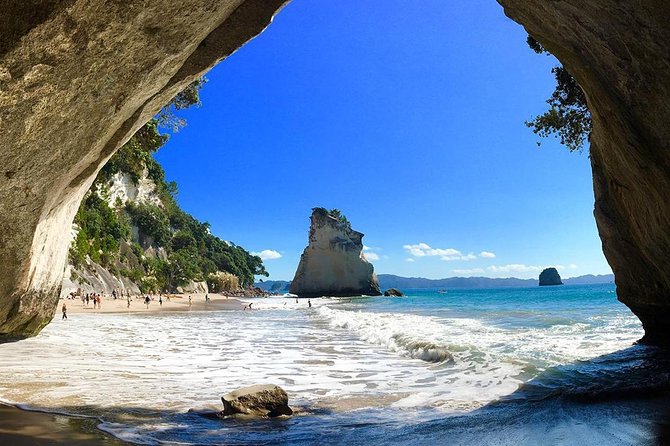 Coromandel Peninsula Highlights Small Group Tour From Auckland - What to Expect on Tour