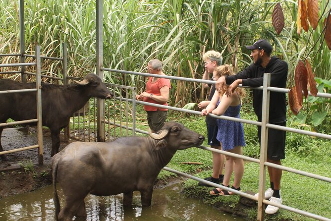 Costa Rica Descents Organic Farm - Tour Experience and Highlights