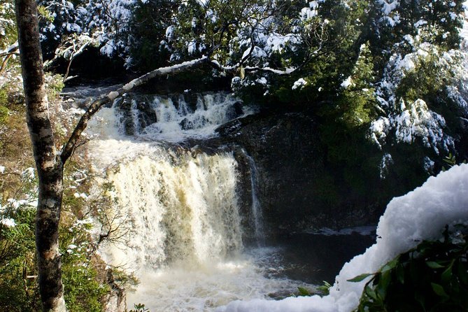 Cradle Mountain Day Tour From Launceston Including Lunch - Physical Requirements