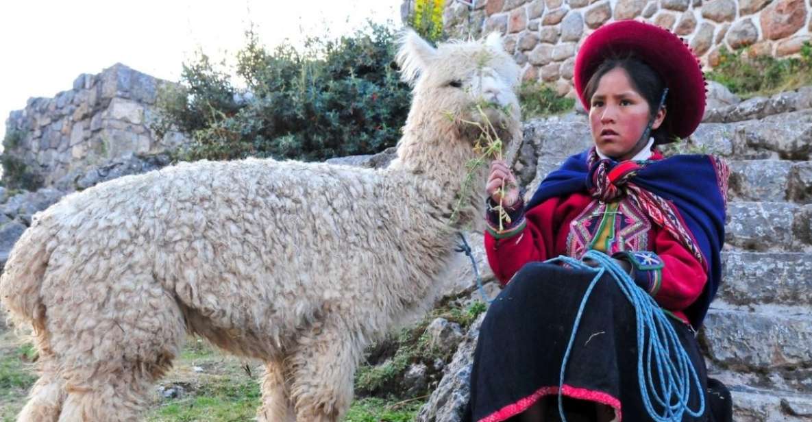 Cusco: Alpaca Therapy + Healing With Clay - Lunch - Private - Itinerary Details