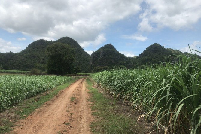 Cycling in Rural Kanchanaburi Area - Tour Options and Skill Levels