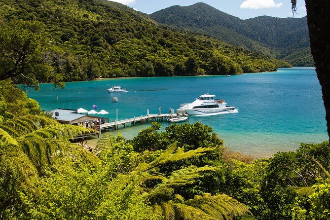 Day Cruise & Lunch at Punga Cove Resort - Lunch Options Available