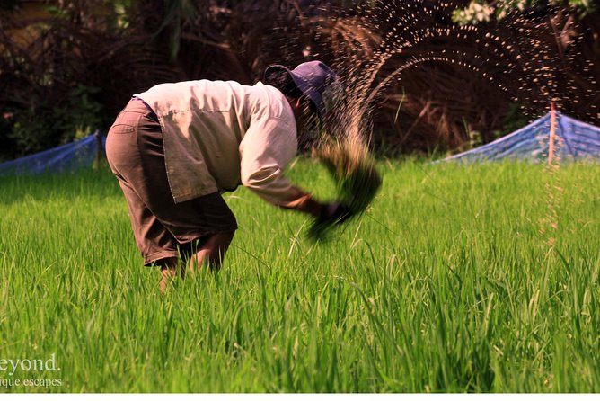 Day in a Life Authentic Village Experience in Siem Reap - Daily Activities in the Village