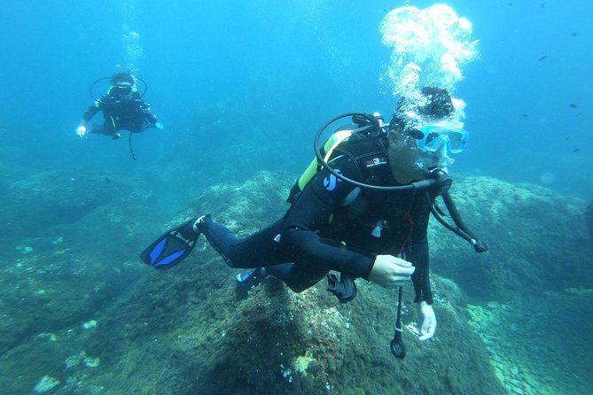 Discover Scuba Diving - Reviews and Ratings