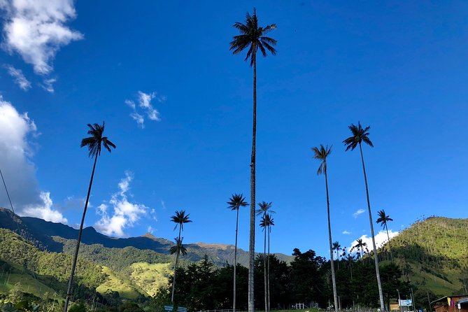 Do It Yourself 11 Days Tour in Colombia (Customizable) - Accommodations and Itinerary