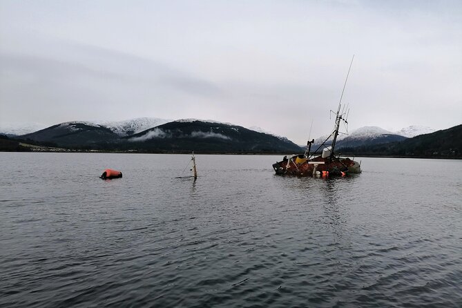 Doon The Watter - Wildlife Spotting Opportunities