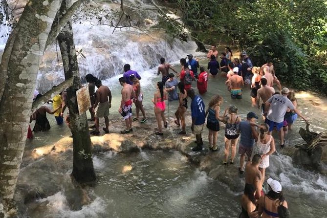 Dunns River Falls From Montego Bay - Meeting and Pickup Information