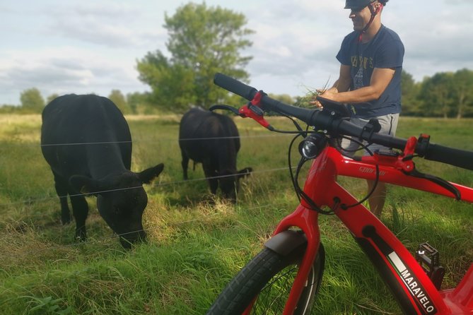 E-Biking Central Forgotten Giants S Adventure - Scenic Cycling Routes