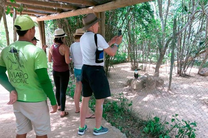 Eco Plan National Aviary and Lunch in Playa Mambo Beach Barú - Culinary Experience