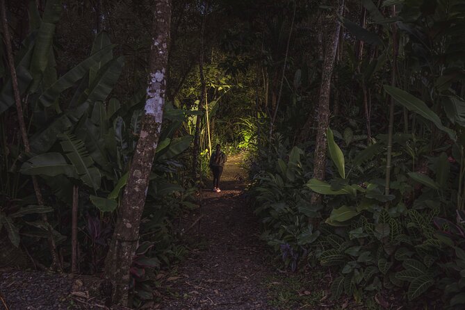 Ecogarden Arenal Night Walk - Tour Logistics and Pricing