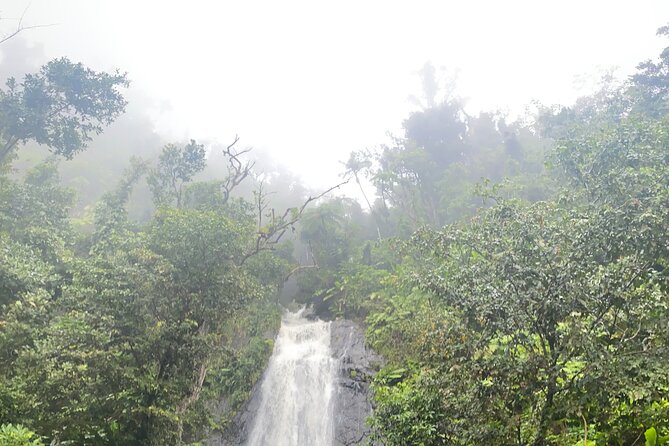 El Yunque National Forest Guided Tour With Transport - Inclusions and Amenities