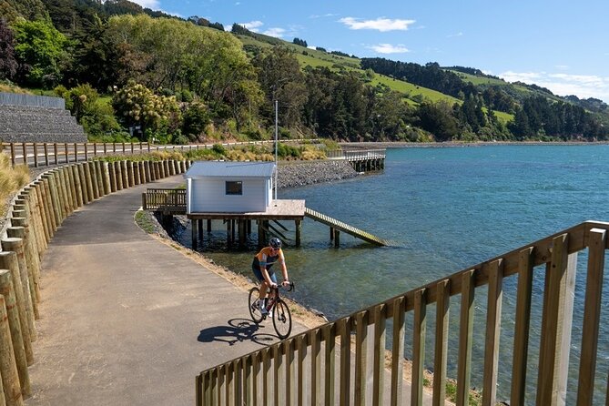 Electric Bike Rental - Exploring Dunedin and Otago Peninsula