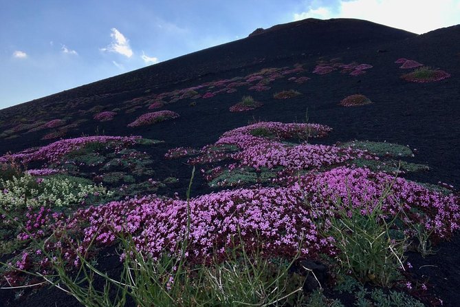 Etna Grantour - 4x4 & Trekking - Meeting Point and Transfers