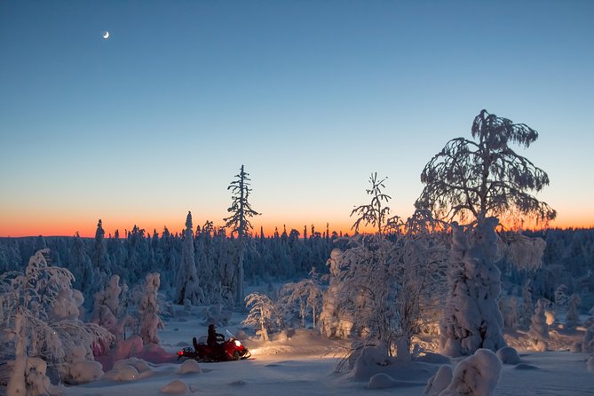 Evening Escape - Snowmobile Safari and Campfire in Rovaniemi - Essential Inclusions for Participants