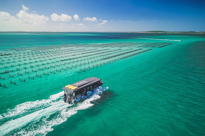 Experience Coffin Bay Oyster Farm and Bay Tour - Highlights of the Experience