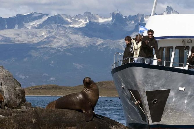 Explore Beagle Channel and Sea Lions Island on a Catamaran Cruise - Tips for an Enjoyable Experience