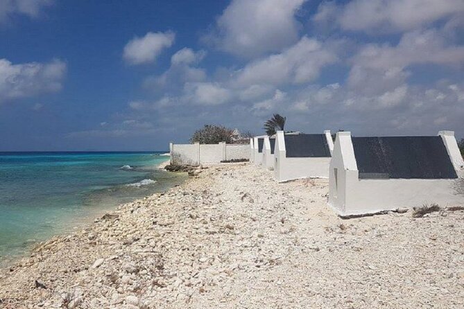 Explore Bonaire: North & South Tour - Accessibility and Participation