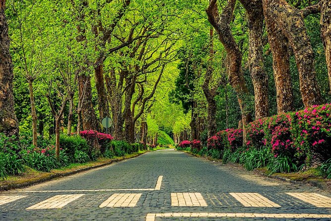 Explore Furnas by Van - Full Day Tour With Lunch and Thermal Baths - Meeting Point and Start Time