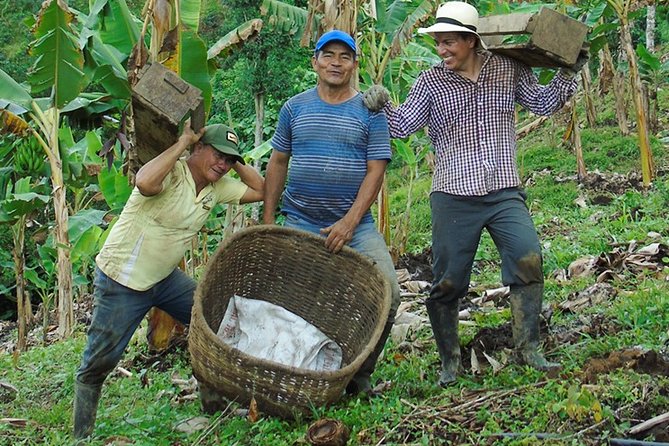 Explore the Coffee Process_From Tree to Cup & Fun by Jeep - The Coffee-Making Process