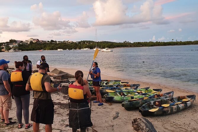 Fajardo Bioluminescent Bay Night Kayak Adventure From San Juan - Tour Inclusions and Requirements