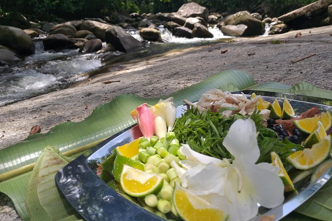 Forest Forager - Wild Food Walk - What to Expect