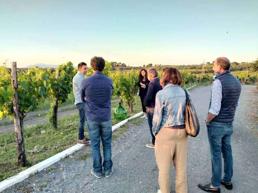 Frascati Vineyards Guided Tour With Wine Tasting - Experience Highlights