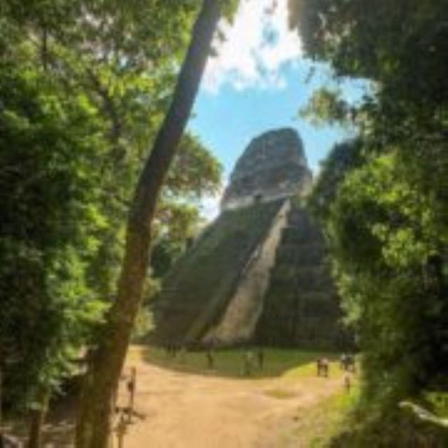 From Flores: Tikal and Yaxhá Day Tour - Itinerary Highlights