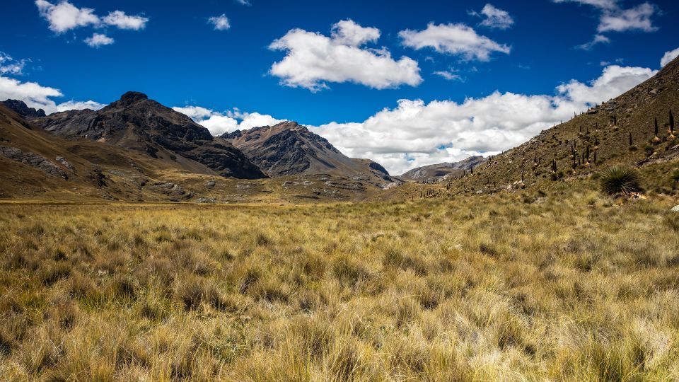 From Huaraz: Glacier Pastoruri and Puya Raimondi Day Tour - Itinerary Details