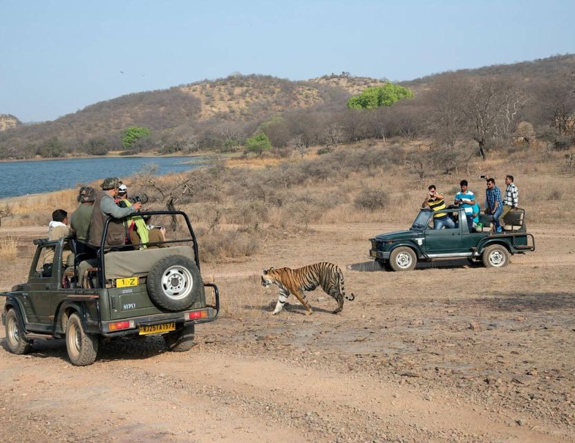 From Jaipur: Overnight Ranthambore Tiger Safari Private Tour - Itinerary Overview