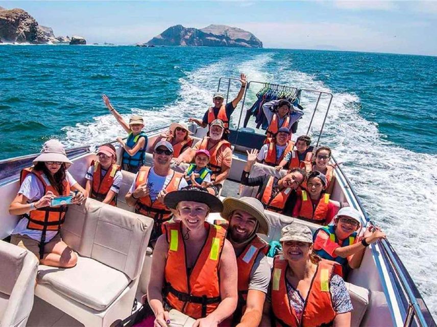 From Lima: Tour Palomino Islands - Callao Bay |Half Day| - Experience Highlights