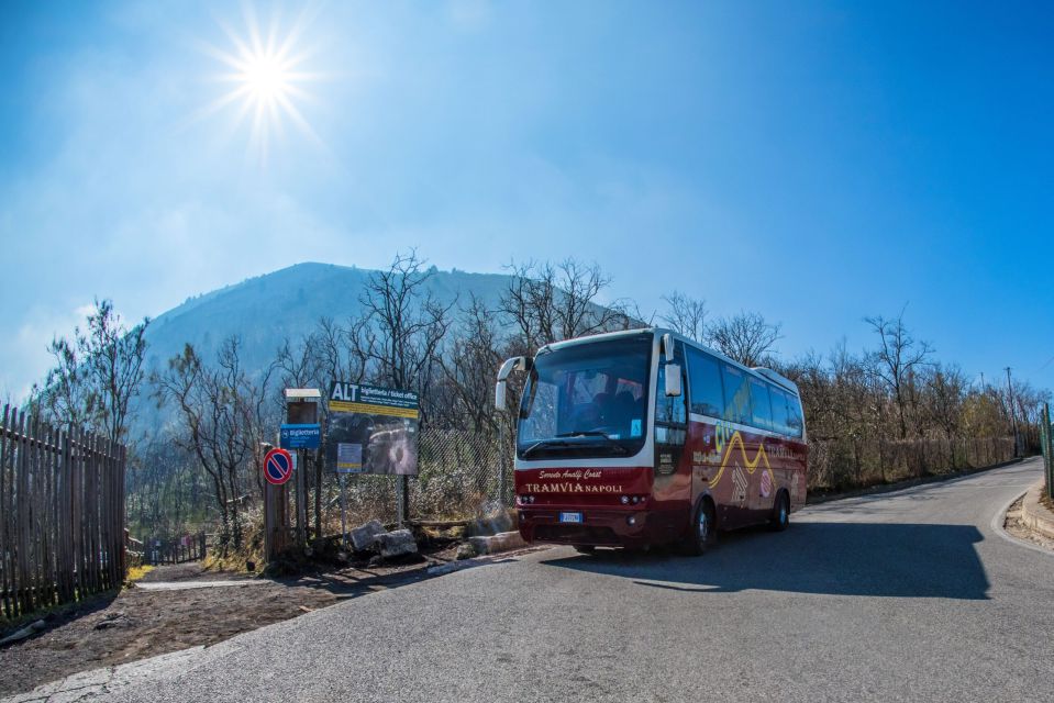 From Naples: Pompeii Ruins and Vesuvius Transfer by Bus - Highlights of the Tour