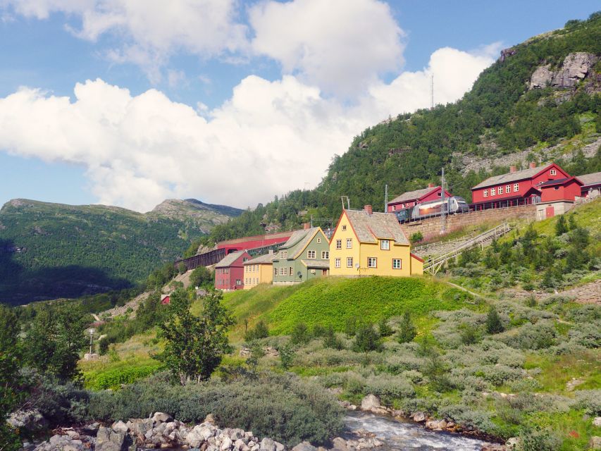 From Oslo: Private Round-Trip Tour to Sognefjord via Flåm - Scenic Train Rides