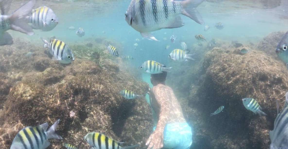 From Recife: Beach Day in Porto De Galinhas With Jangada Included - Instructor and Language Support