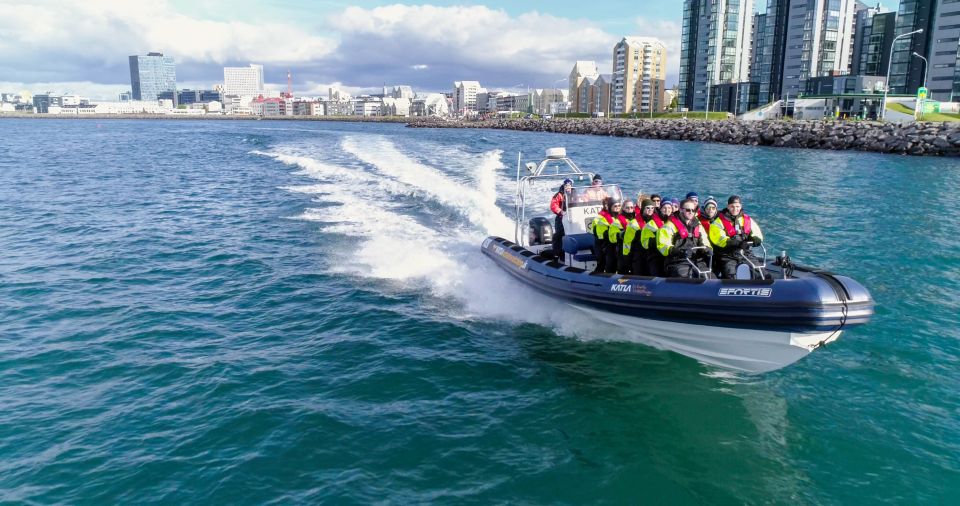 From Reykjavik: Whale Watching Tour by Speedboat - Boat Features