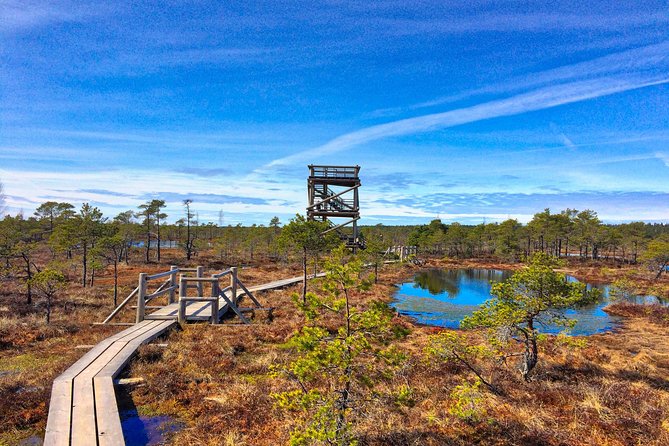 From Riga: Best of Kemeri National Park In One Day - Highlights of Kemeri National Park