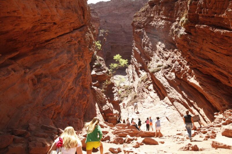 From Salta: Cafayate and Hornocal 2-Day Tour With Transfer - Itinerary for Day 1
