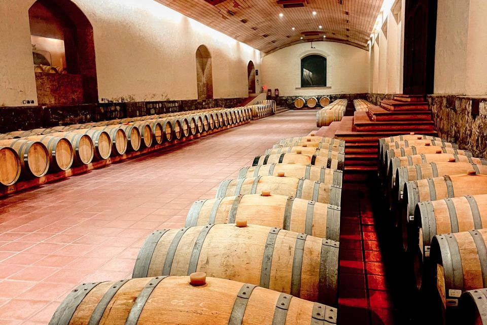 From Santiago: Concha Y Toro Marqués Half-Day Wine Tasting - Experience Highlights