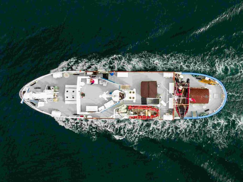 From Tromsø: Northern Lights Cruise on a Cozy Vintage Vessel - Experience and Itinerary