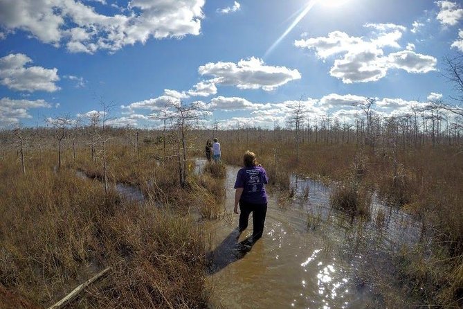 Full Day Everglades: Biologist Led WET Walk + 2 Boat Trips + Lunch Small Group - Itinerary and Daily Schedule