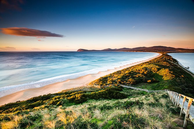 Full-Day Guided Bruny Island Tour From Hobart - Pickup and Meeting Points