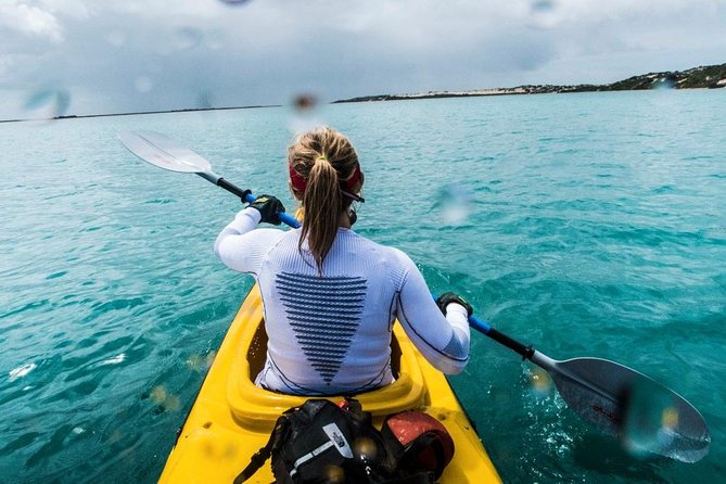 Full Day Kayaking Tour in Coorong National Park - Key Highlights