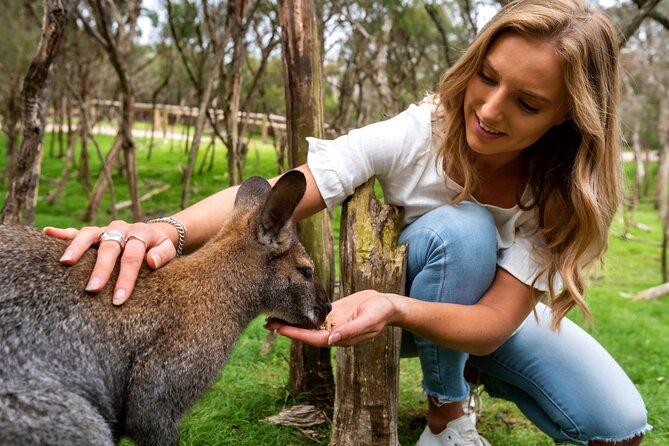 Full-Day Penguins and Wildlife Nature Experience From Melbourne - Pickup Locations and Times