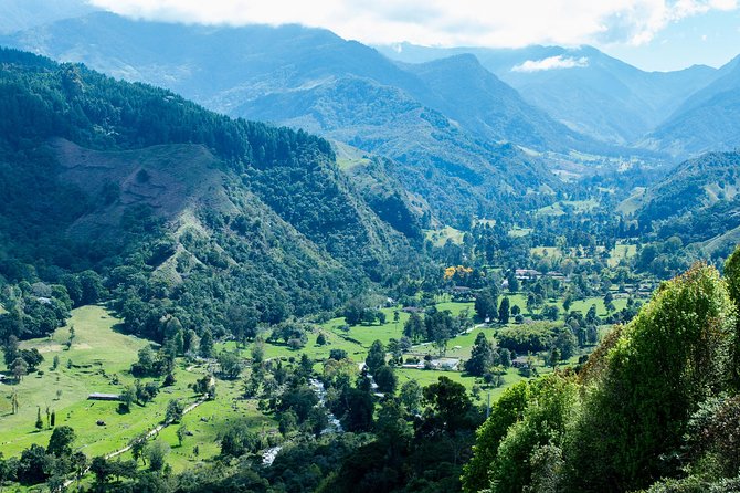 Full-Day Private Coffee Tour in Cocora Valley and Salento - Itinerary Highlights