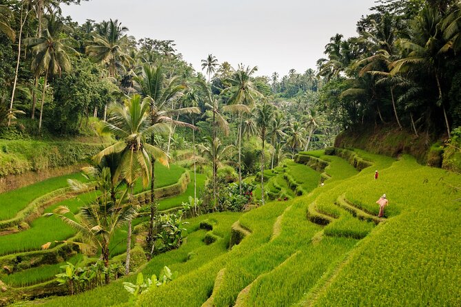 Full-Day Private Guided Exploring Bali as You Wish Tour - Inclusions and Amenities