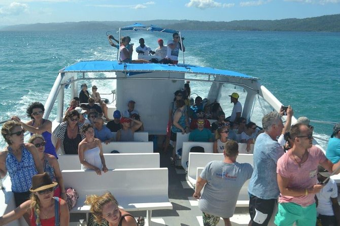 Full Day Samana Whales From Punta Cana With Waterfall, Bacardi Island & Lunch - Important Information and Recommendations