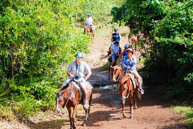 Full Day Supreme Safari Punta Cana - Full-Day Tour Experience