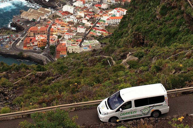 Get to Know the Teide National Park and the North of Tenerife on a Private Tour - Transportation and Pickup Details